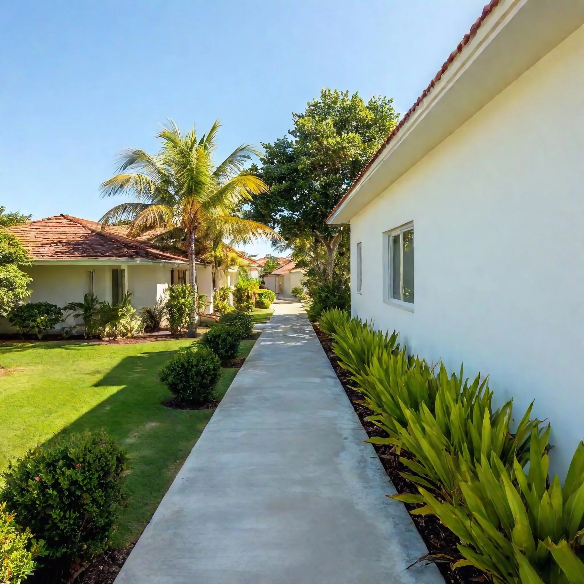 Concrete footpath along the side of a rendered home